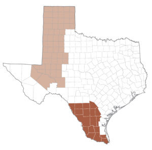 texas_with_counties_copper1-300x296