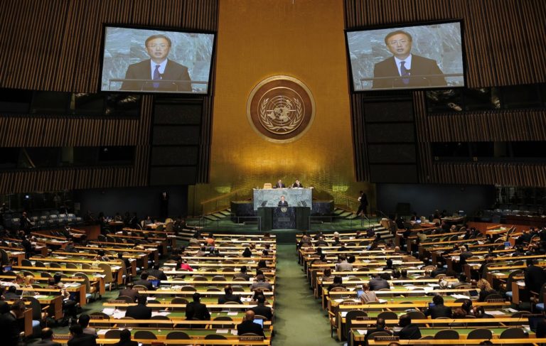 Asamblea General de las Naciones Unidas